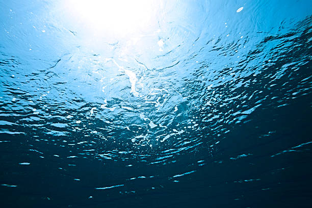 istock Underwater with sun shining through sea water 185284389