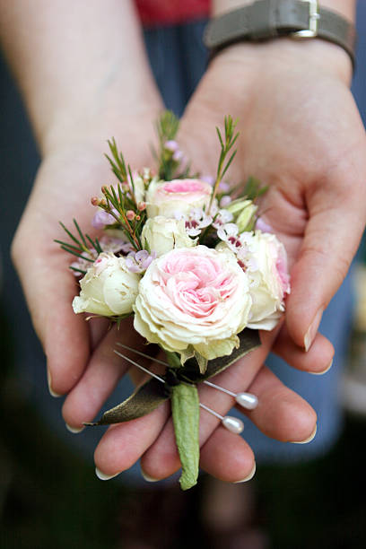 istock Buttonhole of Tiny Pink and White Blossoms Held in Hands 185284519