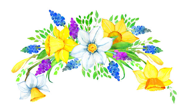 aquarell abbildung - daffodil flower silhouette butterfly stock-grafiken, -clipart, -cartoons und -symbole