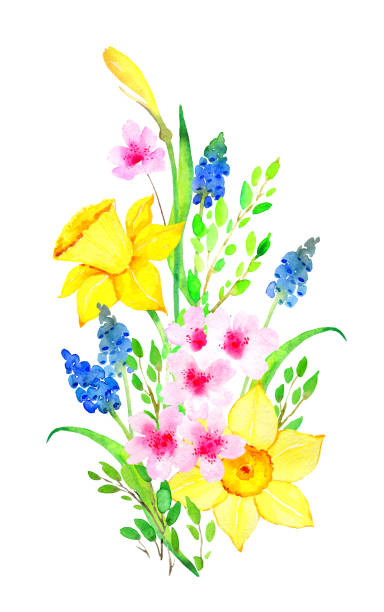 aquarell abbildung - daffodil flower silhouette butterfly stock-grafiken, -clipart, -cartoons und -symbole