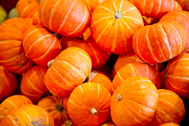 Squash Pile of orange squashes kabocha stock pictures, royalty-free photos & images