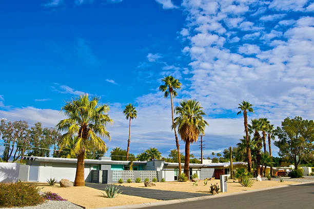 Mid-century modern homes in Palm Springs, California "Palm Springs, California is famous for it's many Mid-Century Modern architectural style homes. In this image a row of such homes are seen on one street with a dramatic cloudscape above them. Palm trees line the street. Coachella Valley, Riverside County, Southern California, Western USA." fan palm tree photos stock pictures, royalty-free photos & images