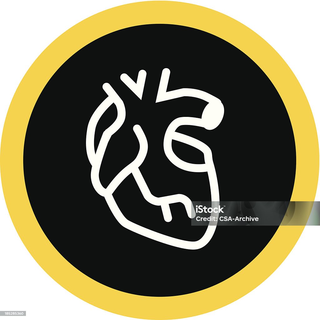 Сердце - Векторная графика Анатомия роялти-фри