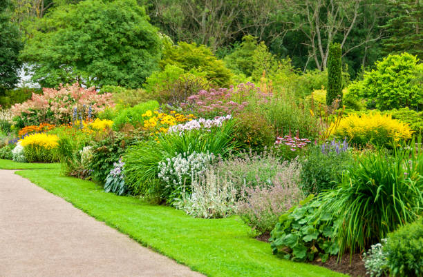 istock Botanical garden in summertime 185285378