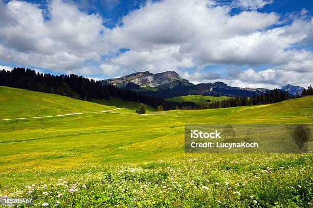 Alpen Frühling Stockfoto und mehr Bilder von Alpen - Alpen, Berg, Berggipfel