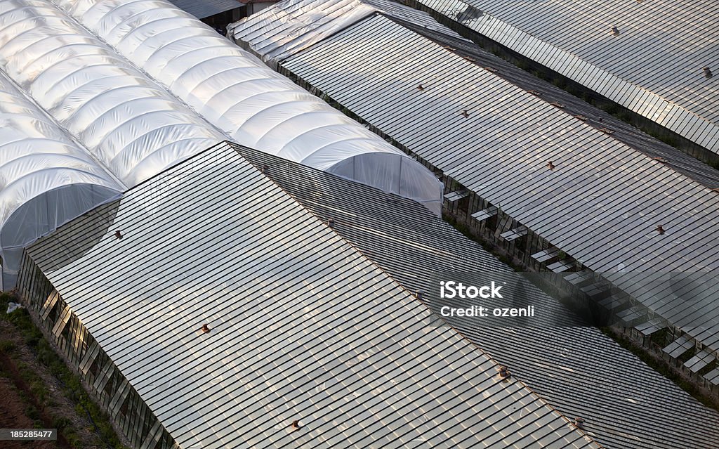 Vegetable greenhouse glass greenhouse with plastic greenhouse for farming of vegetables Agriculture Stock Photo