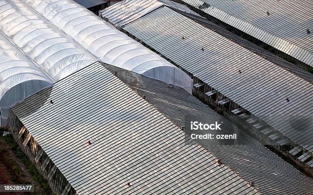 Vegetable Greenhouse Stock Photo - Download Image Now - Agriculture, Architecture, Building Exterior