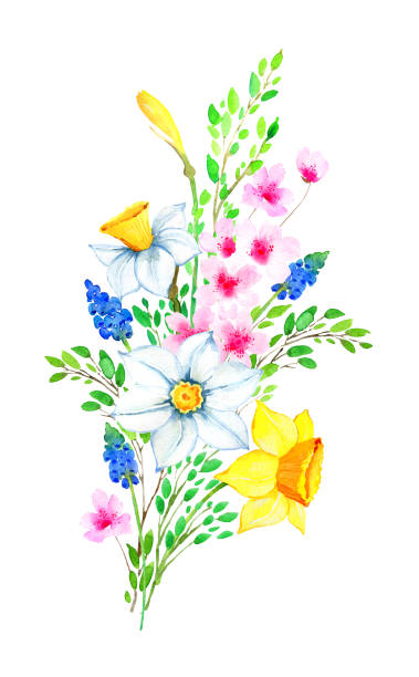 illustrations, cliparts, dessins animés et icônes de fleuri aquarelle illustration - daffodil flower silhouette butterfly