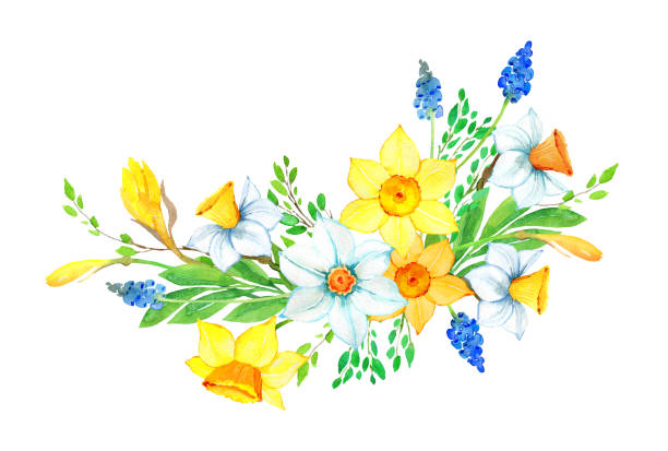 aquarell abbildung - daffodil flower silhouette butterfly stock-grafiken, -clipart, -cartoons und -symbole