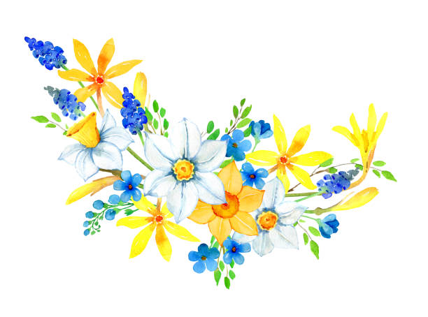 ilustraciones, imágenes clip art, dibujos animados e iconos de stock de ilustraciones de flores acuarela - daffodil flower silhouette butterfly