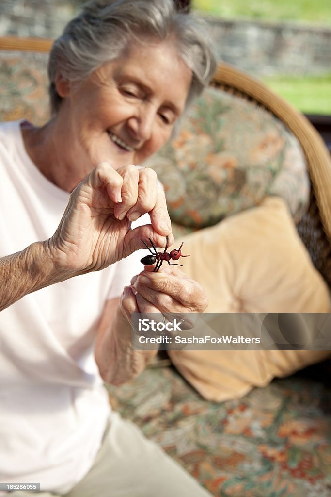 great naugthy grandmother pulling legs of insect (no creature was hurt!) Adult Stock Photo