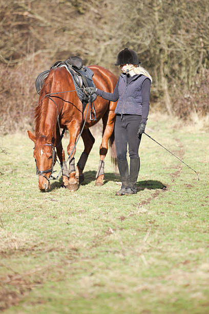 istock Horse and Rider 185286086