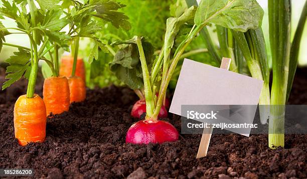 Gemüse Garten Stockfoto und mehr Bilder von Schild - Schild, Gemüsegarten, Gärtnern