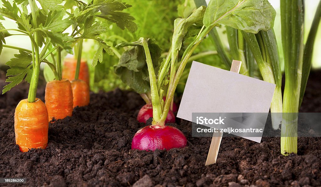 野菜の庭園 - 標識のロイヤリティフリーストックフォト