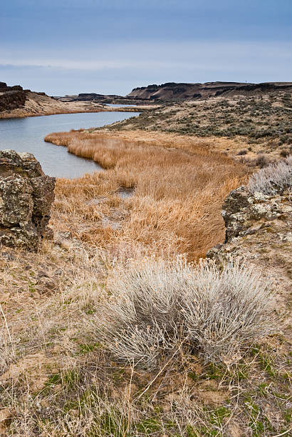 Corral Lake in the Eastern Washington Potholes There are many pothole lakes and ponds in the scablands of Central Washington. Corral Lake is in the Columbia National Wildlife Refuge near Othello, Washington State, USA. jeff goulden national wildlife refuge stock pictures, royalty-free photos & images