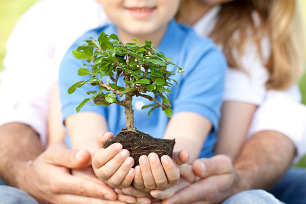 szczęśliwa rodzina przytrzymanie drzewo bonsai - development tree human hand bonsai tree zdjęcia i obrazy z banku zdjęć