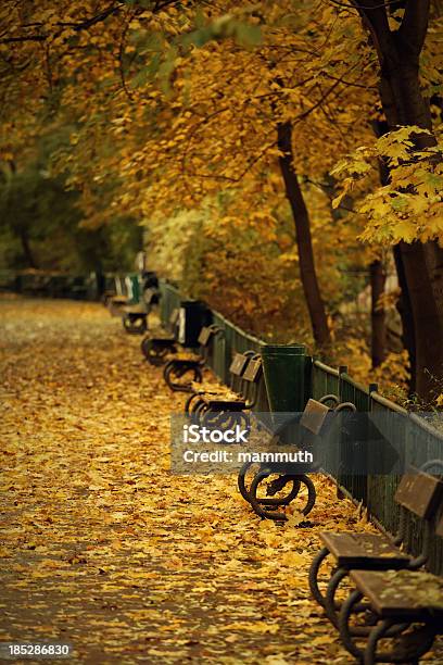 Los Bancos De Praga Foto de stock y más banco de imágenes de Accesibilidad - Accesibilidad, Acera, Aire libre