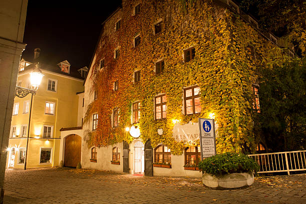 istock Cobblestone street in Munich Germany 185286874