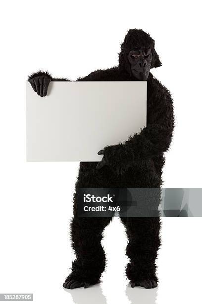 Mann In Gorilla Kleidung Hält Ein Plakat Stockfoto und mehr Bilder von Gorilla - Gorilla, Bühnenkostüm, Kostüm