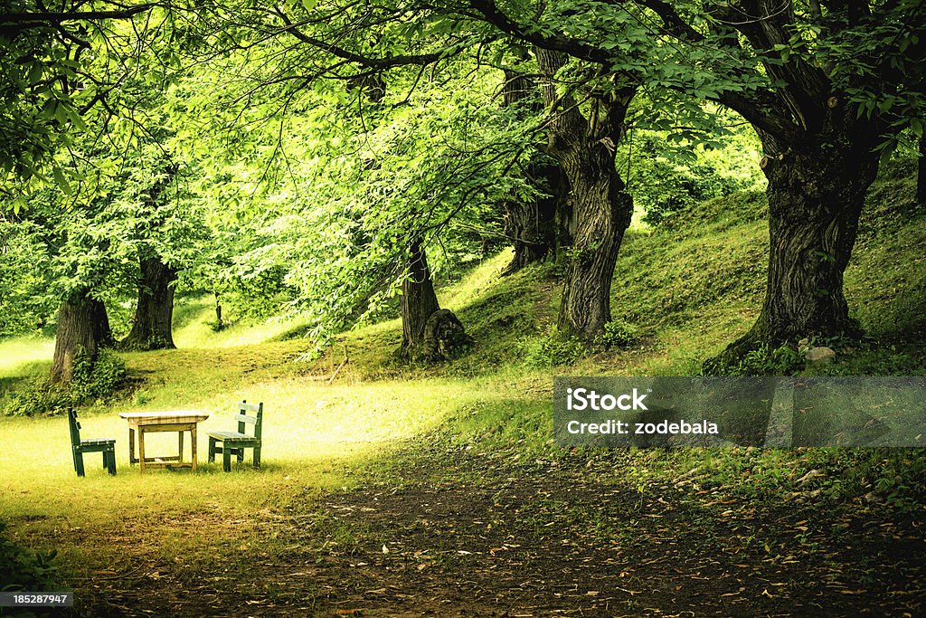 Green üppigen Wälder und Picknick-Tisch - Lizenzfrei Eiche Stock-Foto