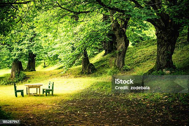 Green Üppigen Wälder Und Picknicktisch Stockfoto und mehr Bilder von Eiche - Eiche, Wald, Ahorn