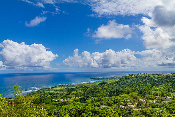 istock Barbados East Coast 185288166
