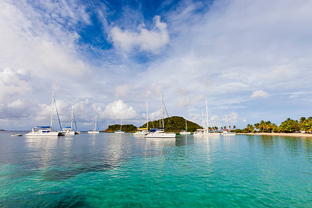 istock Panoramic view of the Salt Whistle Bay at Mayreau 185288670