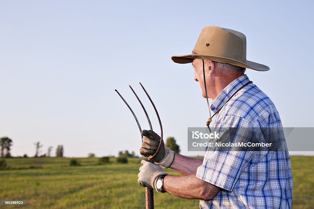 Senior farmer looking at his field Senior farmer looking at his field and holding a pitchfork. He is wearing a cowboy hat. Farmer Stock Photo