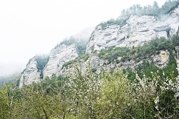 The famous limestone cliffs above the cheese-making village of Roquefort in France. Roquefort blue cheese was first made in medieval times and still traditionally produced in the caves underneath the limestone cliffs.