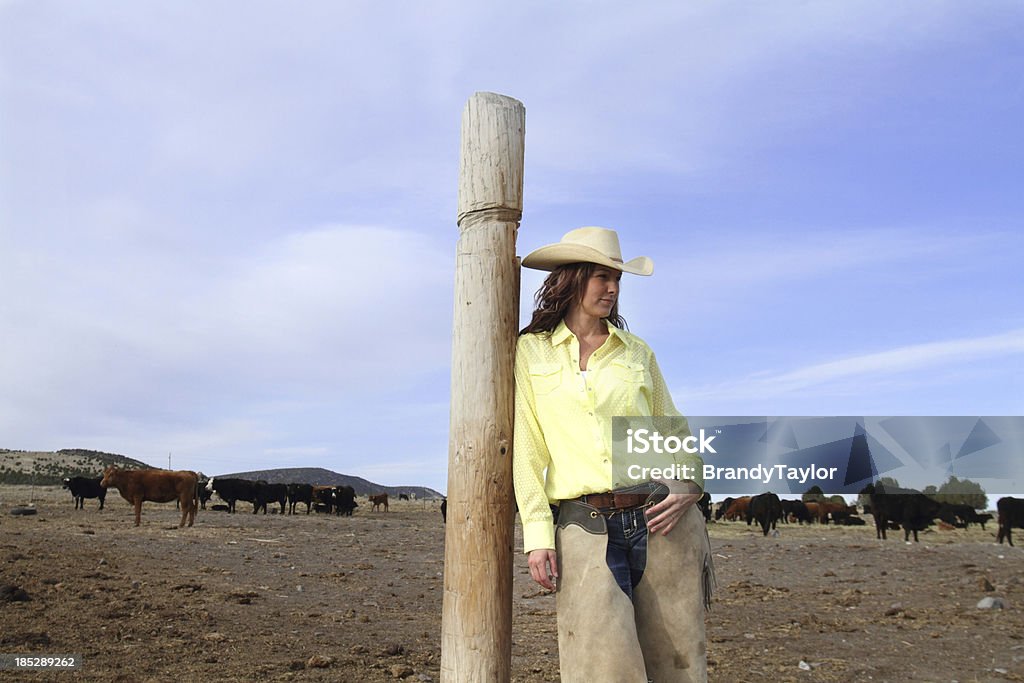 Contemplating Cowgirl Beautiful Woman in Cowboy hat looking off into the distance with her cattle herd in the background 20-29 Years Stock Photo