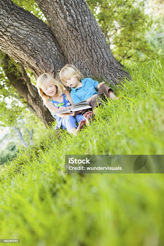 Little kids reading under a tree Little girl reading a book to her brother in park under a tree. Vertical Shot. Pls checkout our lightboxes for more images Preschool Student Stock Photo