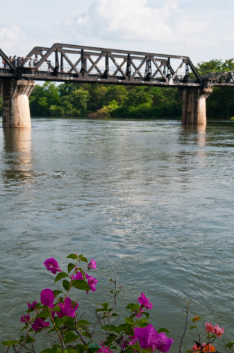 Flowers rise from one side of the river over which the famous Bridge on the River Kwai is built. Located in Kanchanaburi, Thailand, the bridge was built by POW labor during WWII.