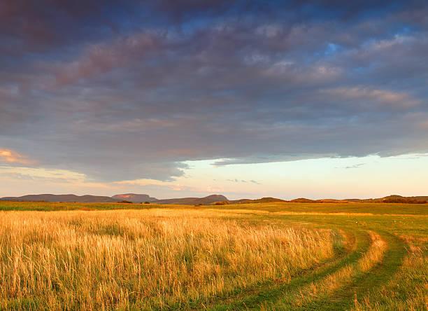 istock countryside at sunrise 185289791