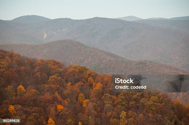 Catena Montuosa Del Blue Ridge Virginia Stati Uniti - Fotografie stock e altre immagini di Albero