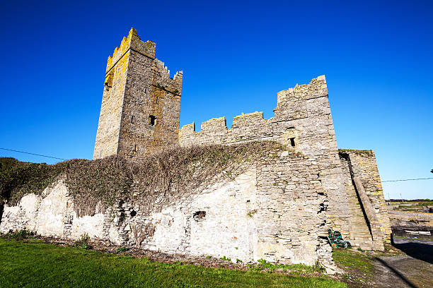 istock Slade Castle in County Wexford, Ireland 185290785