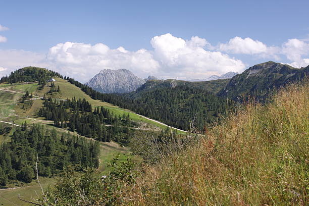 istock Salzkammergut, Austria 185290802
