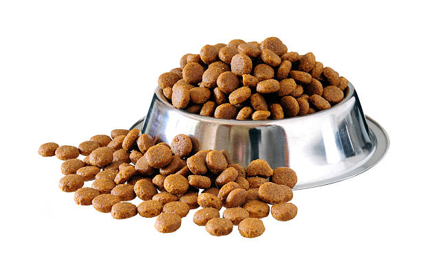 dog food in bowl stock photo