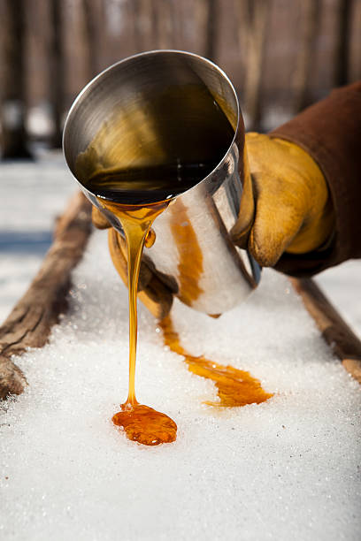 Man pouring syrup from a tin cup into the snow maple syrup is part of Tradionnal quebec culture maple syrup stock pictures, royalty-free photos & images
