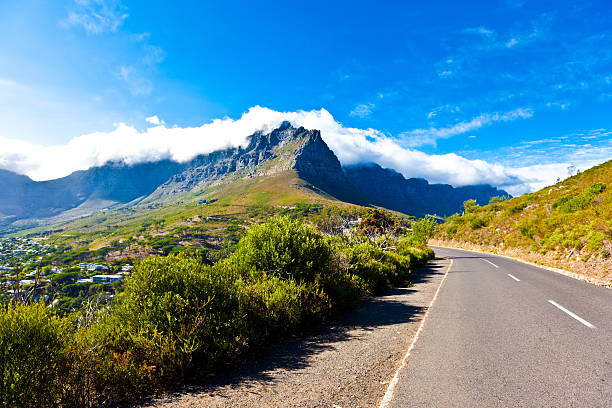 istock Lion Head in Cape Town 185291639