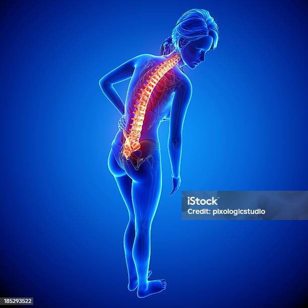 Weibliche Rücken Schmerzenseitenansicht Stockfoto und mehr Bilder von Anatomie - Anatomie, Biologie, Biomedizinische Illustration