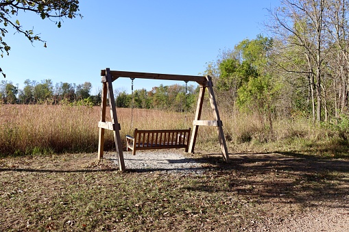 The empty wood swinging bench in the park on a sunny day.