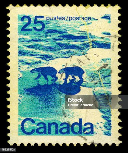 캐나다식 북극해 스템프 동물 두 마리에 대한 스톡 사진 및 기타 이미지 - 동물 두 마리, 북극곰, 얼음