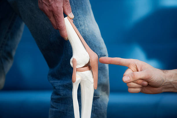 Knee joint Artificial model of a knee joint. A finger pointing at the patella. XXL size image. pain points stock pictures, royalty-free photos & images