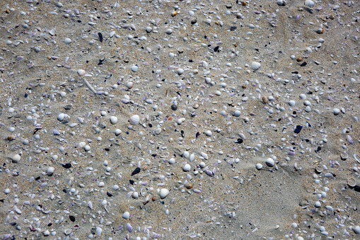 Horizontal seascape of seaweed washed up on sandy shoreline with surrounding rocks seen on beach walk at Byron Bay NSW Heads NSW Australia