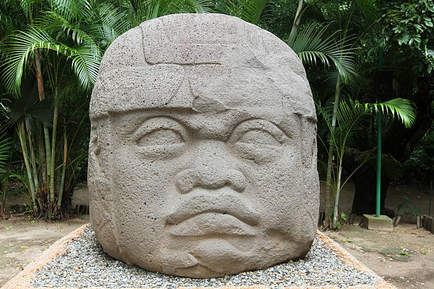 Parqeu museum for sale "The Olmec were the first major civilization in Mexico. They lived in the tropical lowlands of south-central Mexico, in the modern-day states of Veracruz and Tabasco.The Olmec flourished during Mesoamerica's Formative period, dating roughly from as early as 1500 BCE to about 400 BCE. Pre-Olmec cultures had flourished in the area since about 2500 BCE." olmec head stock pictures, royalty-free photos & images