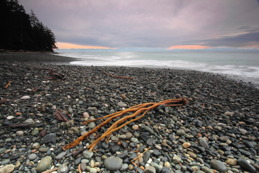 China beach located on Vancouver Island.