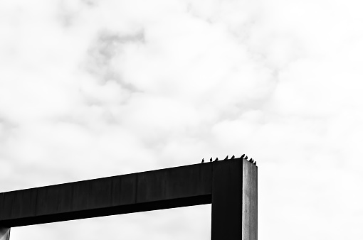 black and white photo of a Metal fence with resting pigeons and a sky full of clouds