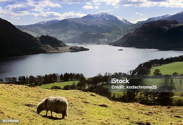 Lake District - zdjęcia stockowe i więcej obrazów Lake District - Lake District, Park publiczny, Ważne miejsce w świadomości narodowej