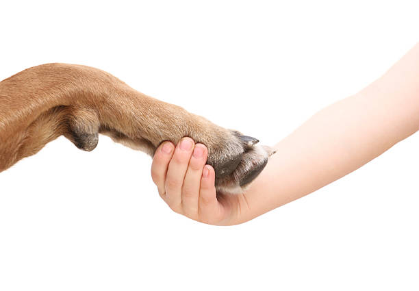 istock Sign of friendship 185297195