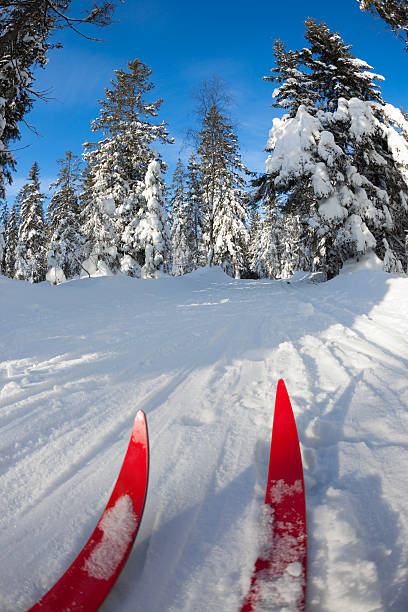 istock Cross-country skiing in Oslo, Norway 185297817